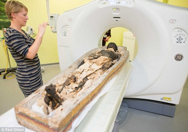 В мумия на ястреб откриха човешки зародиш