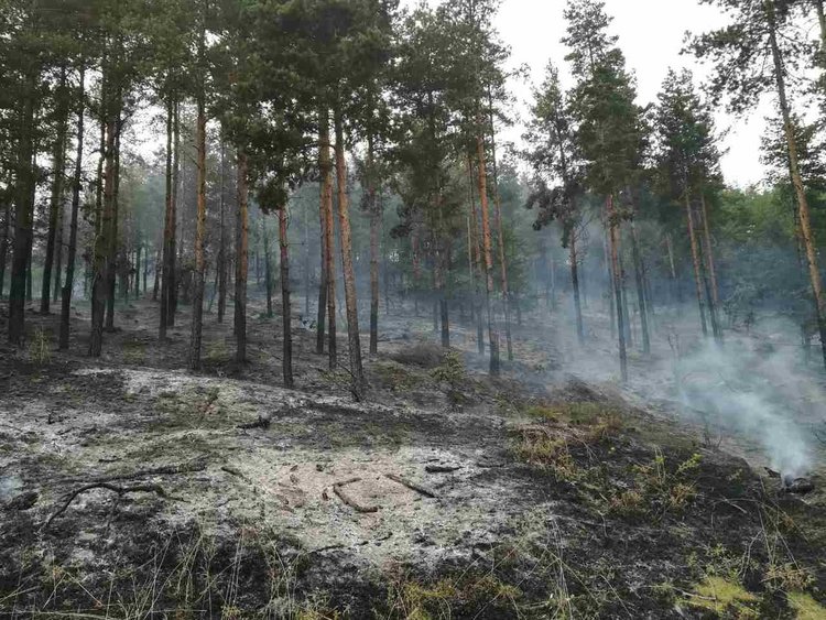 Сухи треви горяха в село Петелово