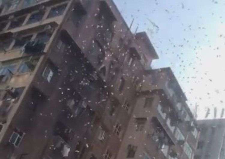 Пари падат от небето в беден квартал на Хонконг (видео)