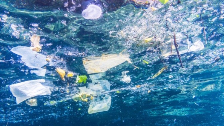 Нов доклад разкрива пораженията от индустриалното производство и земеделие (видео)