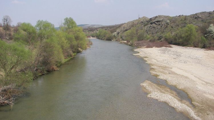 Авария в мандра предизвика замърсяване на приток на река Арда