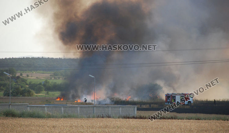 Пожари изпепелиха житни блокове в Хасковско