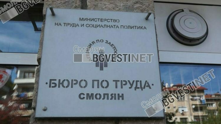 15 свободни места в сферата на образованието обяви Бюрото по труда в Смолян