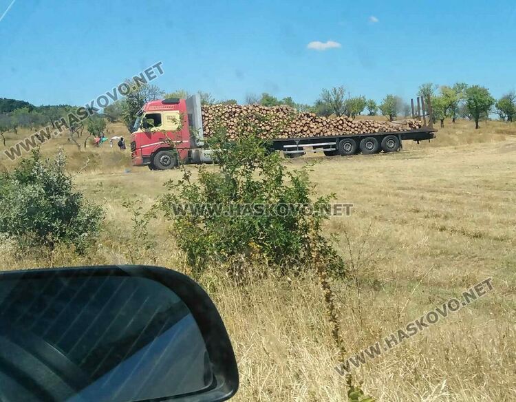 Гражданите стават горски патрули чрез приложението „Защити гората“