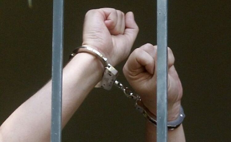 37-годишна кърджалийка открадна 90 кошера и ги насече за подпалки, задържаха я