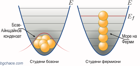 фермиони бозони принцип на Паули