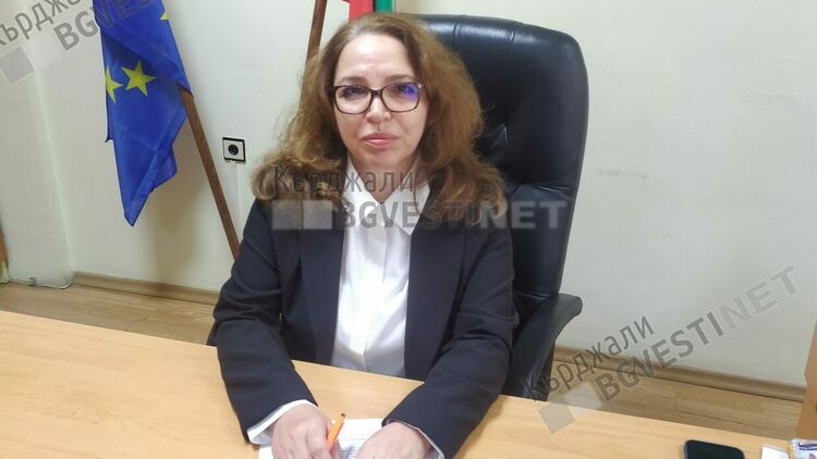 Нериман Сали:Данъчната кампания в област Кърджали стартира успешно, първата декларация е подадена онлайн