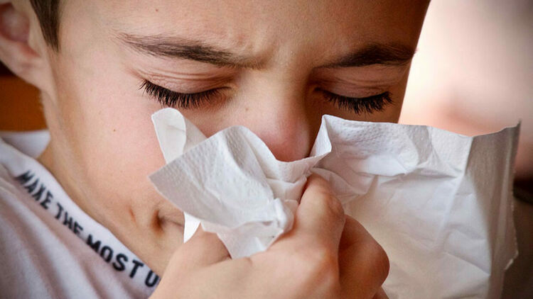 До края на януари и началото на февруари се очаква пикът на грипа