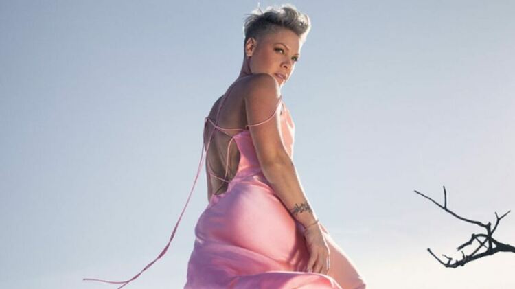 P!nk даде на съд Pharrell