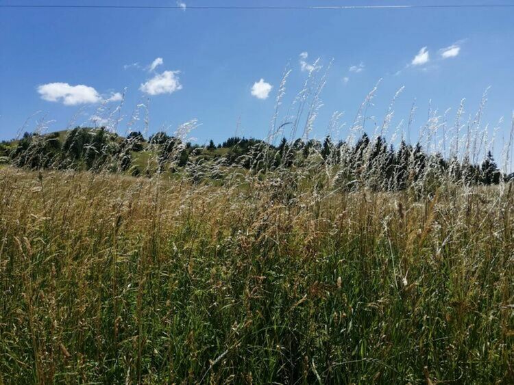Оранжев код за опасно горещо време и в понеделник