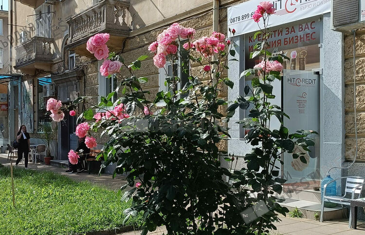 Слънчево днес в Кърджали,температурите се повишават