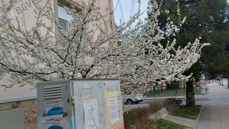  Предимно слънчево днес в Кърджали, ветровито