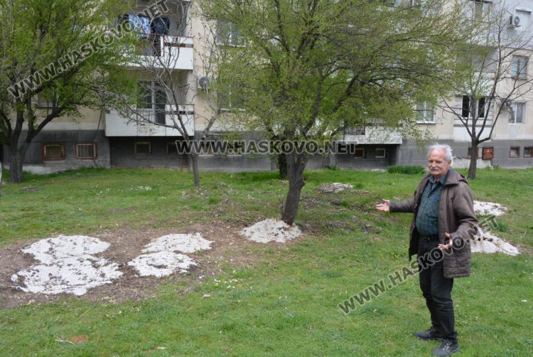 Посипана едра сол в градинка в „Бадема“ смути хасковлии 