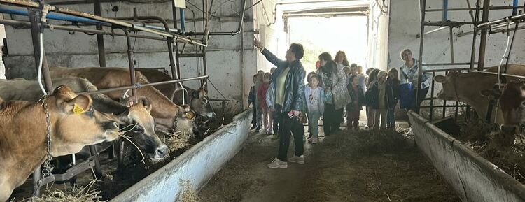 Децата от ДГ "Славейче" в Смолян откриха тайните на млякото