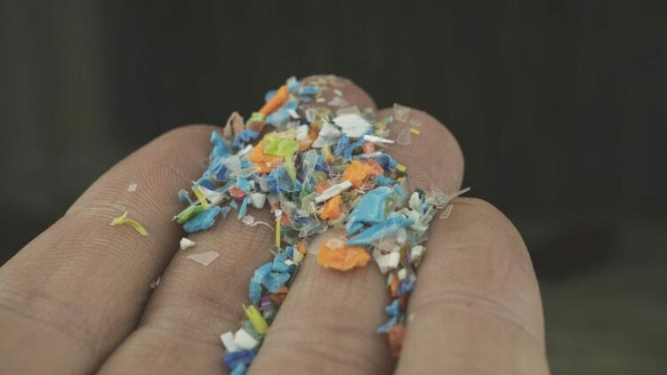 Поглъщаме микропластмаса, когато правим едно просто действие
