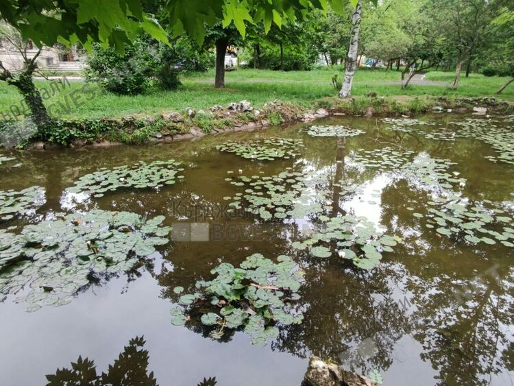 Слънчево и ветровито днес в Кърджали