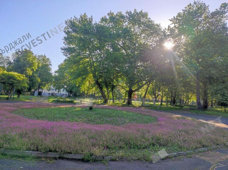   Предимно слънчево и тихо време днес в Кърджали