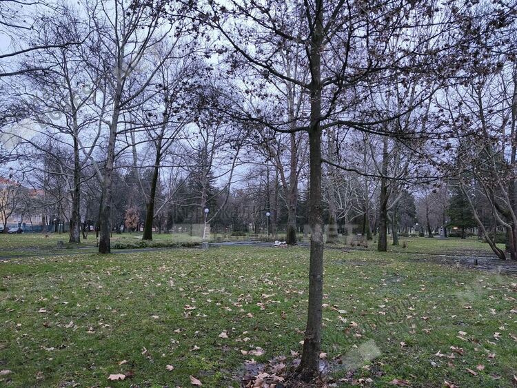   Предимно слънчево и ветровито днес в Кърджали