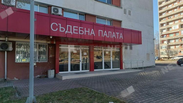 Велосипедист осъди Община Кърджали за нападение от бездомни кучета