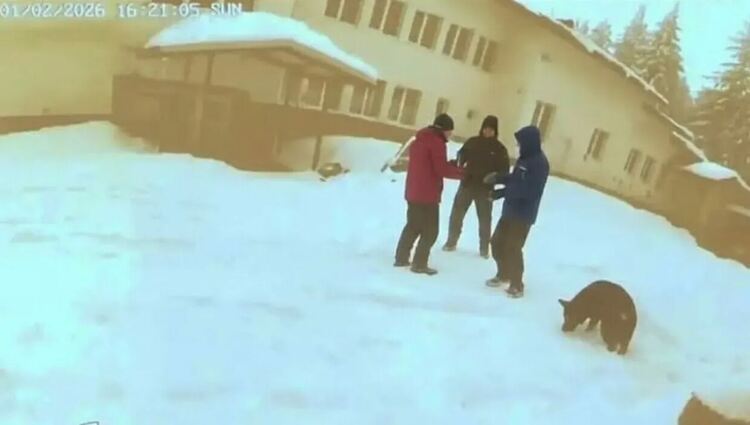 Тодор Тодоров: Пъзелът около мистерията „Петрохан“ започна да се нарежда