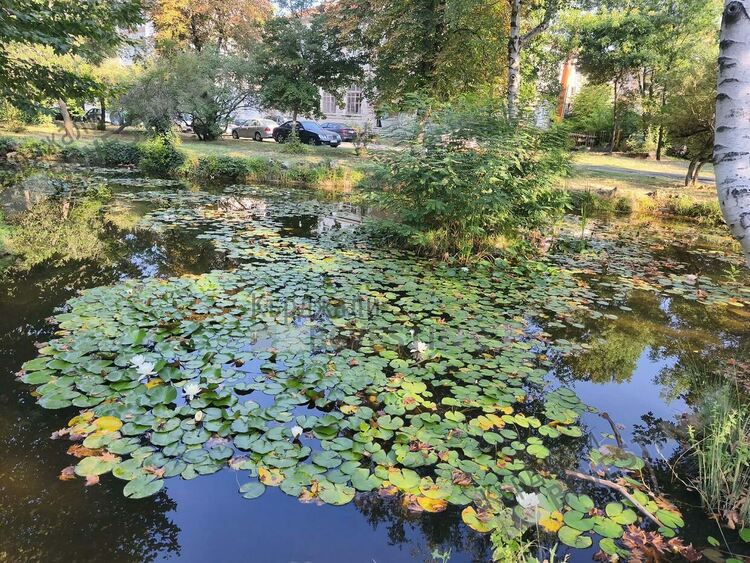 Слънчево и горещо днес в Кърджали