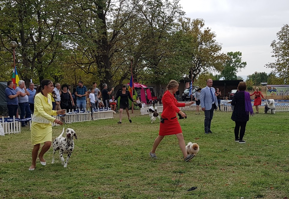 The Dog Show Първомай 2020