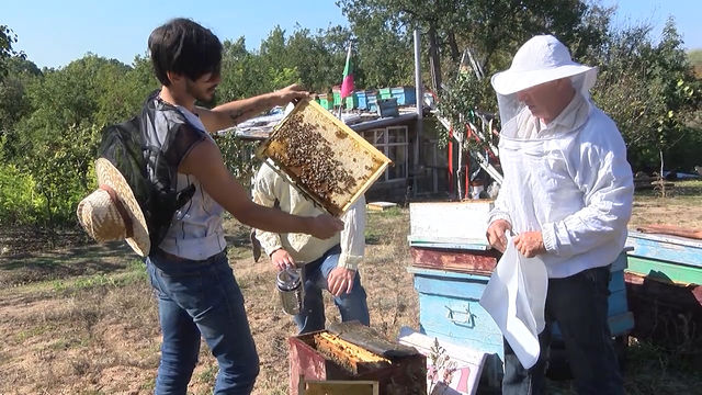 Англичанин пристигна в Хасково, за да се учи на пчеларство